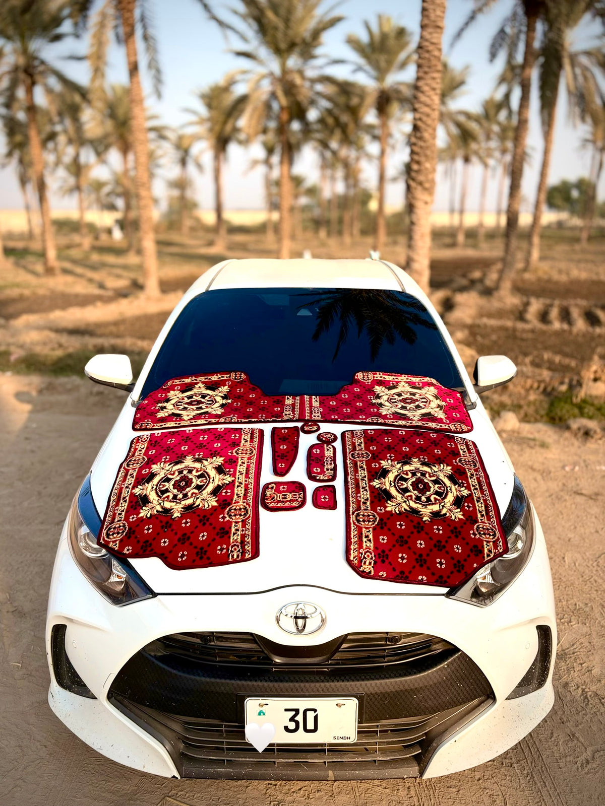 Red Velvet Luxury Car Mats — Statement Edition (Design 3)